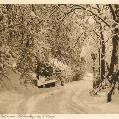 Bild vergrößern: PK_V_0242 Wernigerode Stadtansichten Nöschenrode, Partei am Schlossberg im Schnee