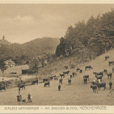 Bild vergrößern: PK_V_0252 Wernigerode Stadtansichten Am Grossen Bleek