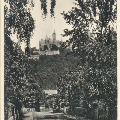 Bild vergrößern: PK_V_0255 Wernigerode Stadtansichten Schloßblick vom großen Bleek