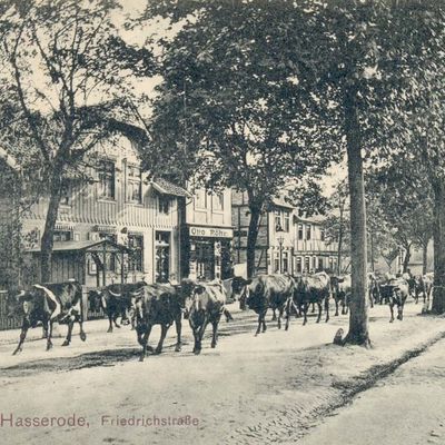 Bild vergrößern: PK_V_0276 Wernigerode Stadtansichten Hasserode, Friedrichstraße