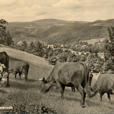 Bild vergrößern: PK_V_0299 Wernigerode Stadtansichten Hasserode