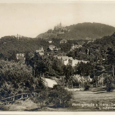 Bild vergrößern: PK_V_0301 Wernigerode Stadtansichten Salzbergtal, Lindenberg u. Schloss