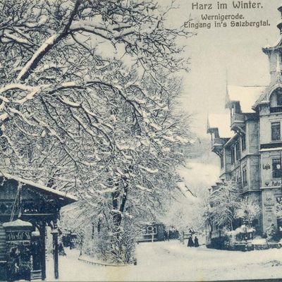 Bild vergrößern: PK_V_0340 Wernigerode Stadtansichten Eingang in's Salzbergtal