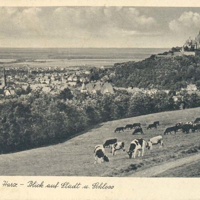 Bild vergrößern: PK_V_0343 Wernigerode Stadtansichten Blick auf Stadt u. Schloss