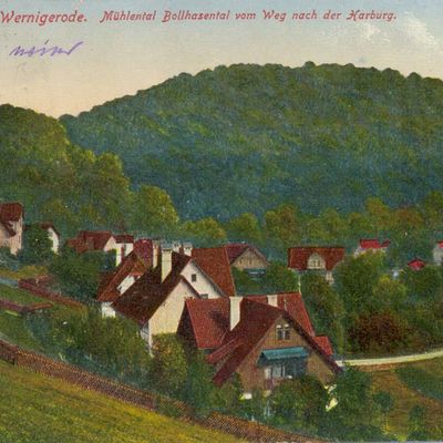 Bild vergrößern: PK_V_0364 Wernigerode Stadtansichten Mühlental Bollhasental v. Weg nach der Harburg