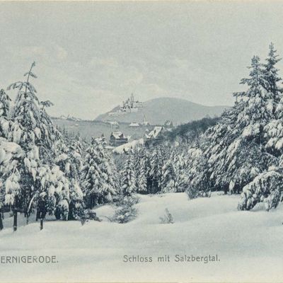 Bild vergrößern: PK_V_0118 Wernigerode Stadtansichten Schloss mit Salzbergtal