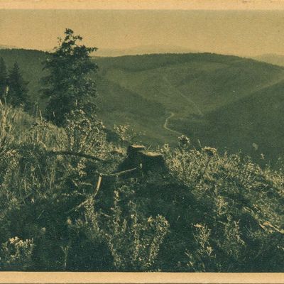 Bild vergrößern: PK_V_0130 Wernigerode Stadtansichten Hasserode, Blick ins Thumkuhlental