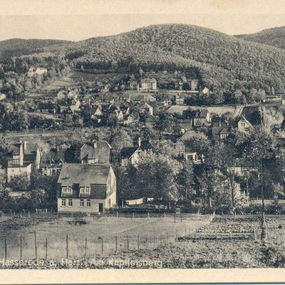 Bild vergrößern: PK_V_0151 Wernigerode Stadtansichten Hasserode, Am Kapitelsberg