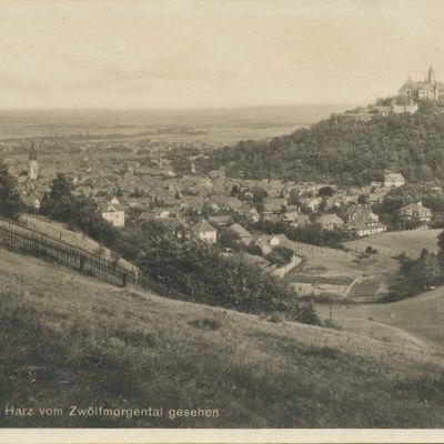 Bild vergrößern: PK_V_0185 Wernigerode Stadtansichten Wernigerode v. Zwölfmorgental gesehen