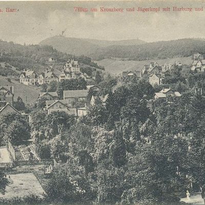 Bild vergrößern: PK_V_0215 Wernigerode Stadtansichten Villen am Kreuzberg u. Jägerkopf m. Harburg u. Armeleuteberg