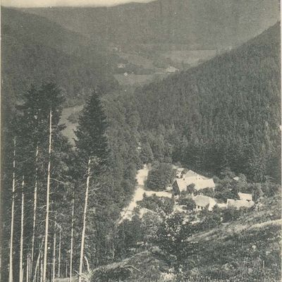 Bild vergrößern: PK_V_0221 Wernigerode Stadtansichten Nöschenrode, Blick ins Mühlental