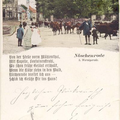 Bild vergrößern: PK_V_0234 Wernigerode Stadtansichten Nöschenrode, Kaiserstraße