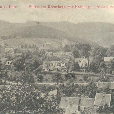 Bild vergrößern: PK_V_0238 Wernigerode Stadtansichten Villen am Kreuzberg m. Harburg u. Armeleuteberg