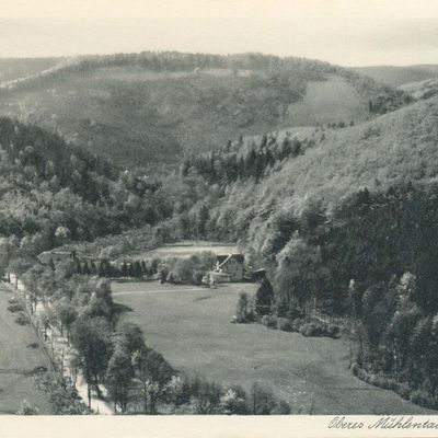 Bild vergrößern: PK_V_0240 Wernigerode Stadtansichten Oberes Mühlental Waldmühle