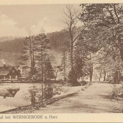 Bild vergrößern: PK_VI_0011 Wernigerode Ausflugsziele Christianental bei Wernigerode