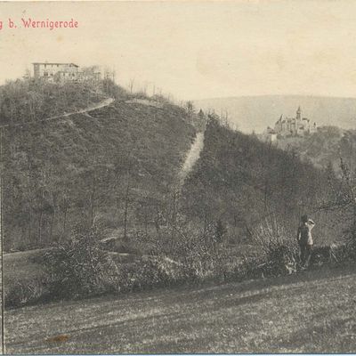 Bild vergrößern: PK_VI_0082 Wernigerode Ausflugsziele Harburg u. Bismarckdenkmal