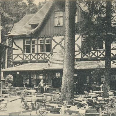 Bild vergrößern: PK_VI_0122 Wernigerode Ausflugsziele Hotel Steinerne Renne