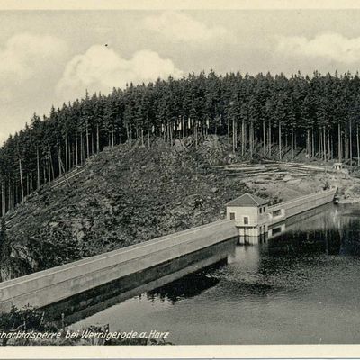 Bild vergrößern: PK_VI_0176 Wernigerode Ausflugsziele Zillierbachtalsperre