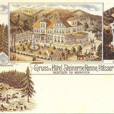 Bild vergrößern: PK_VI_0271 Wernigerode Ausflugsziele Gruss v. Hotel Steinerne Renne