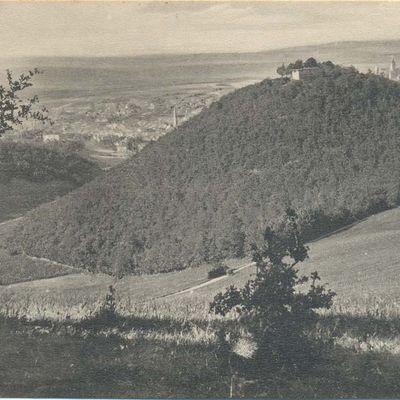 Bild vergrößern: PK_VI_0078 Wernigerode Ausflugsziele Die Harburg