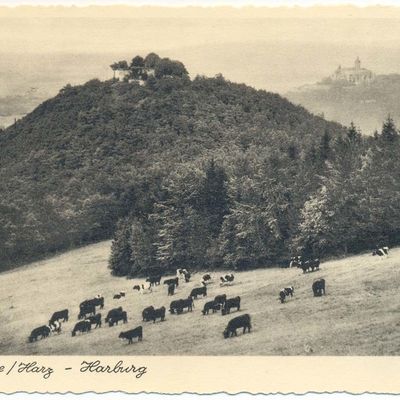 Bild vergrößern: PK_VI_0081 Wernigerode Ausflugsziele Harburg