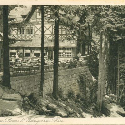 Bild vergrößern: PK_VI_0126 Wernigerode Ausflugsziele Hotel Steinerne Renne