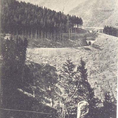 Bild vergrößern: PK_IX_0016 Wernigerode Harzquerbahn Blick vom Elverstein auf Harzquerbahntunnel