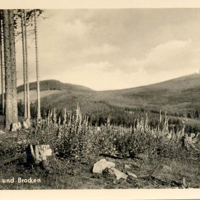 Bild vergrößern: PK_IX_0049 Wernigerode Brocken Königsberg und Brocken