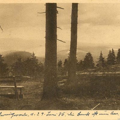 Bild vergrößern: PK_IX_0067 Wernigerode Brocken Brockenblick