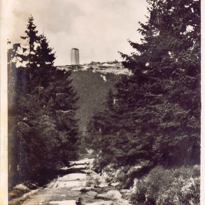 Bild vergrößern: PK_IX_0001 Wernigerode Brocken Brockenblick vom Goetheweg