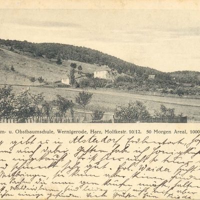 Bild vergrößern: PK_XI_0003 Wernigerode Gewerbe Roedel's Baum-u. Obstbaumschule