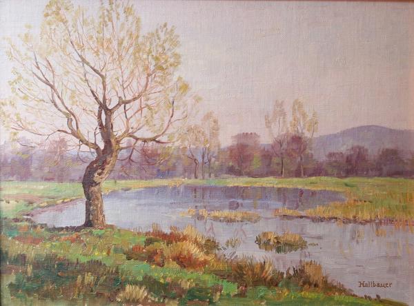 Veckenstedter Teich