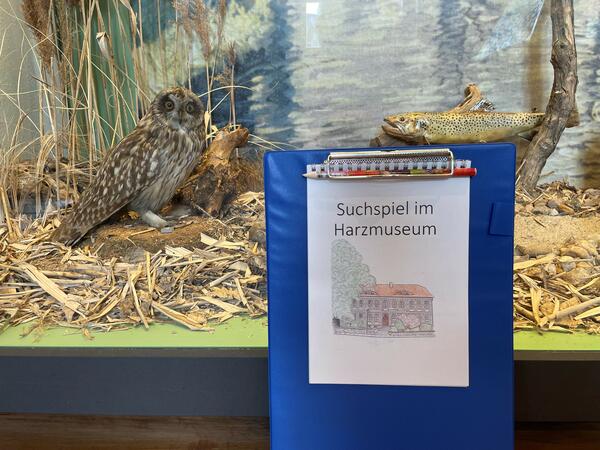 Harzmuseum Suchspiel