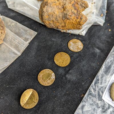 Goldmünzen_Grabung_Kloster_Himmelpforte