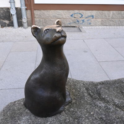 Katze der Kiepenfrau