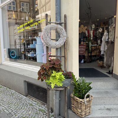 Bild vergrößern: Sommersprossen in Wernigerode
