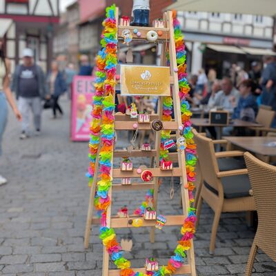 Bild vergrößern: Sommersprossen in Wernigerode
