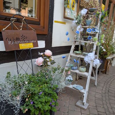 Bild vergrößern: Sommersprossen in Wernigerode