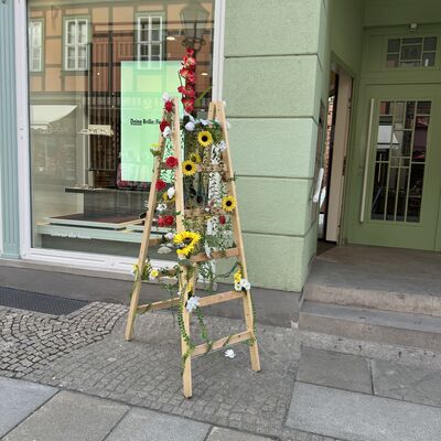 Bild vergrößern: Sommersprossen in Wernigerode