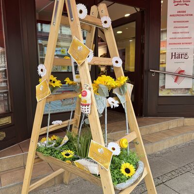 Bild vergrößern: Sommersprossen in Wernigerode