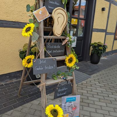 Bild vergrößern: Sommersprossen in Wernigerode
