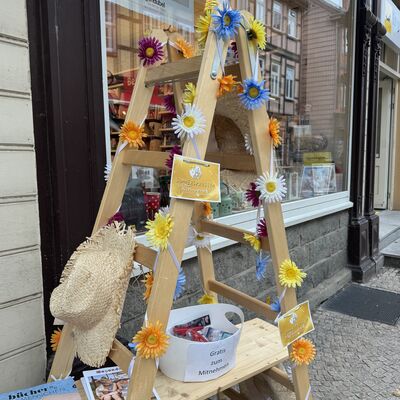 Bild vergrößern: Sommersprossen in Wernigerode