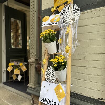 Bild vergrößern: Sommersprossen in Wernigerode