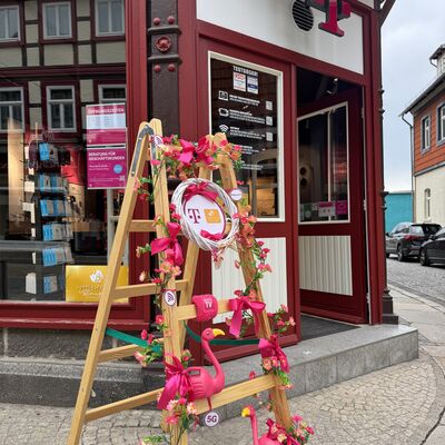 Bild vergrößern: Sommersprossen in Wernigerode