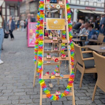 Bild vergrößern: Sommersprossen in Wernigerode