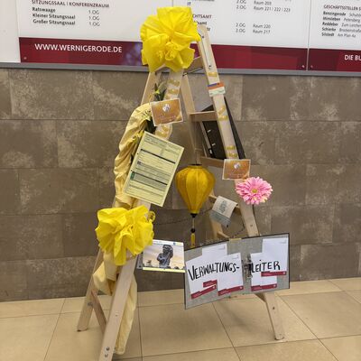 Bild vergr&ouml;&szlig;ern: Stadtverwaltung Wernigerode