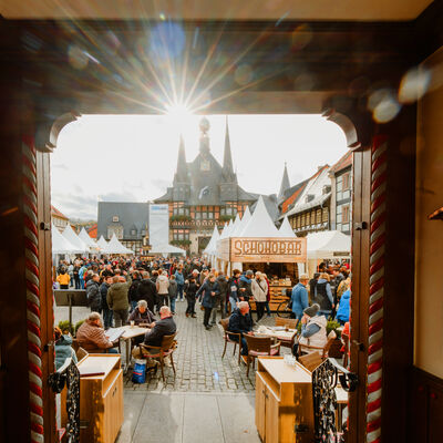 Cover_chocolART_Polyluchs-22