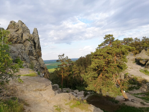 Hamburger_Wappen_HWN_74_Foto_Harzmuseum