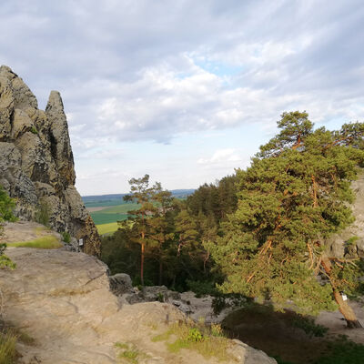 Hamburger_Wappen_HWN_74_Foto_Harzmuseum