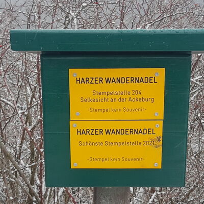 Selkesicht_auf_der_Ackeburg_HWN_204_Foto_Harzmuseum